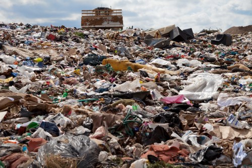 Benefits of professional waste removal services for businesses